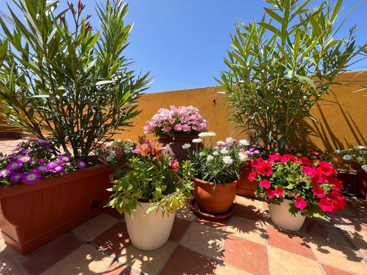Apartmán Casa Yvona Alghero Exteriér fotografie